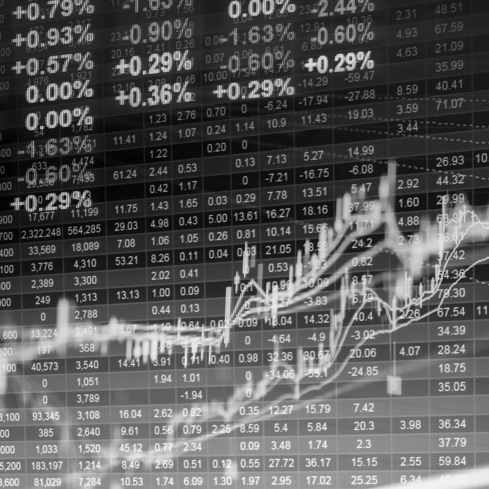 Cropped Koersenbord Scaled 1 E1751899666361